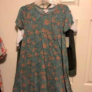LLR Carly